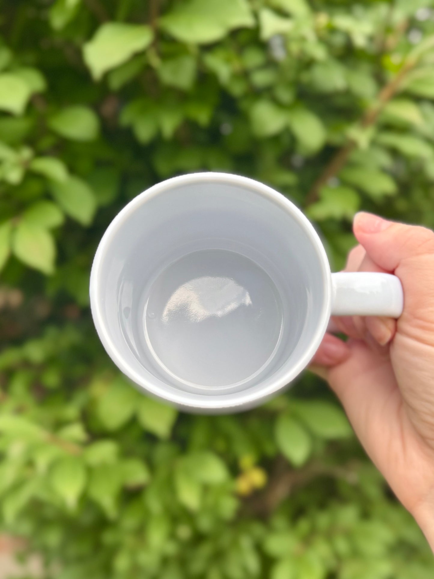 Cozy Cat Mug